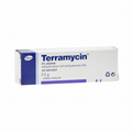 Terramycin Ophthalmic Ointment Terramycin eye ointment - bird product photo