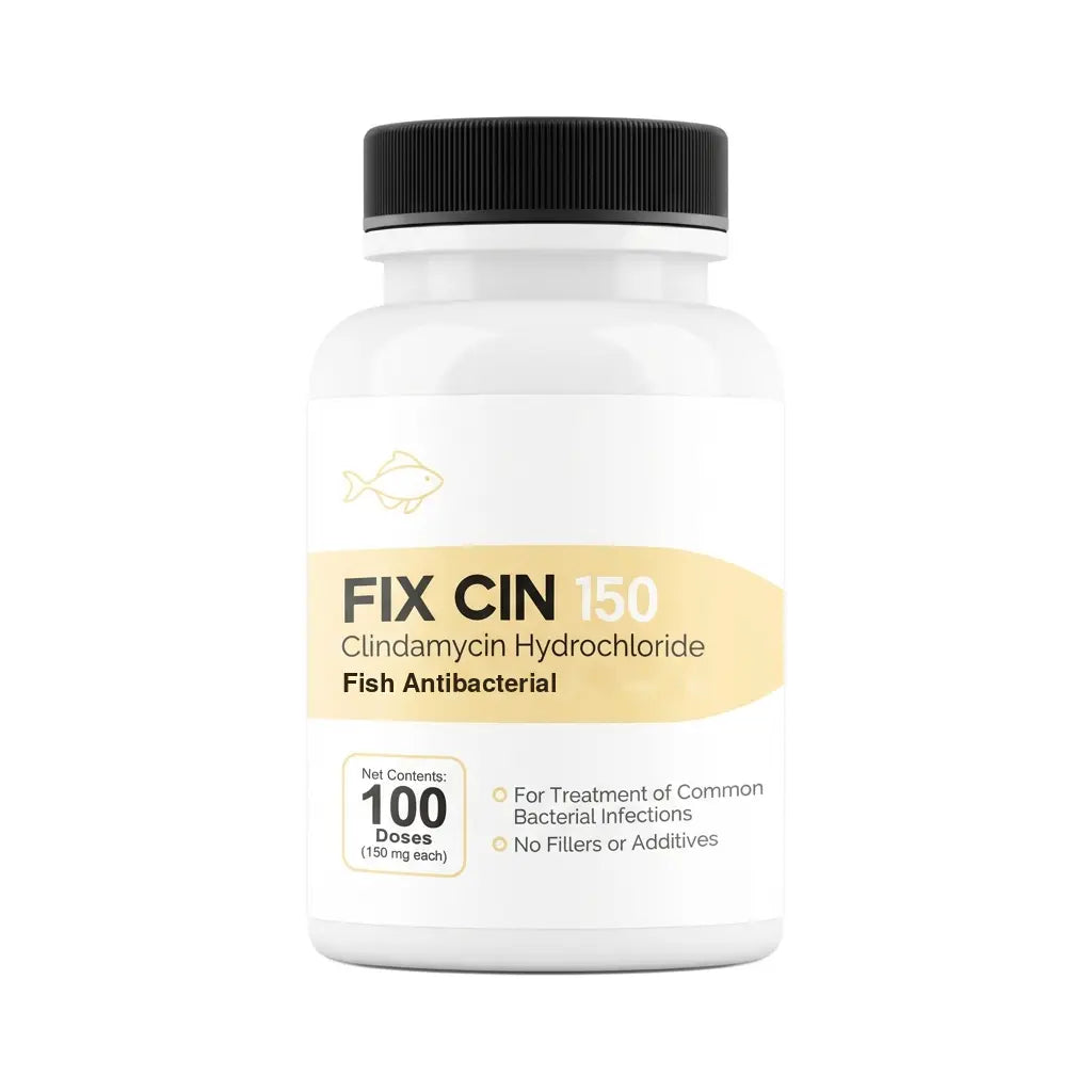 Fish Clindamycin 150mg (Fish Cin) Fix Cin Antibacterial