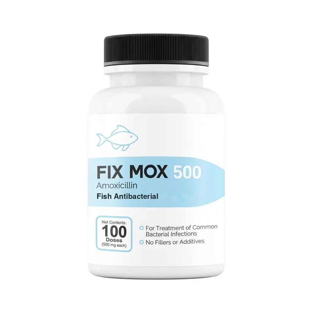Fish Mox (Fix Mox) Amoxicillin 500mg & 250mg Fish Antibacterial