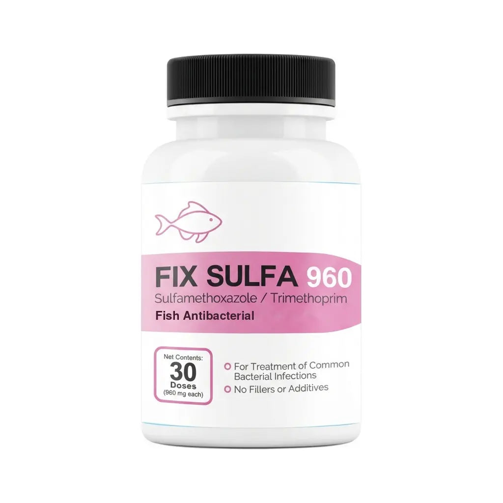 Fish Sulfa Forte (Fix Sulfa) SMZ/TMP 960mg Fish Antibacterial